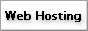 web hosting povider